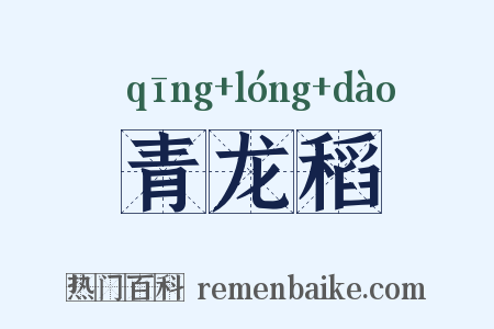 青龙稻是什么意思的图片